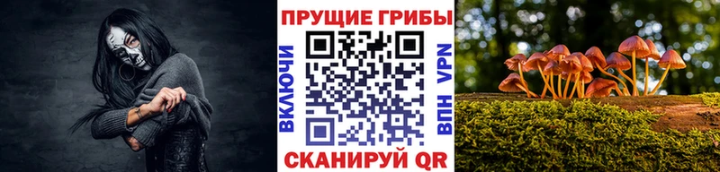Псилоцибиновые грибы GOLDEN TEACHER  Хасавюрт 