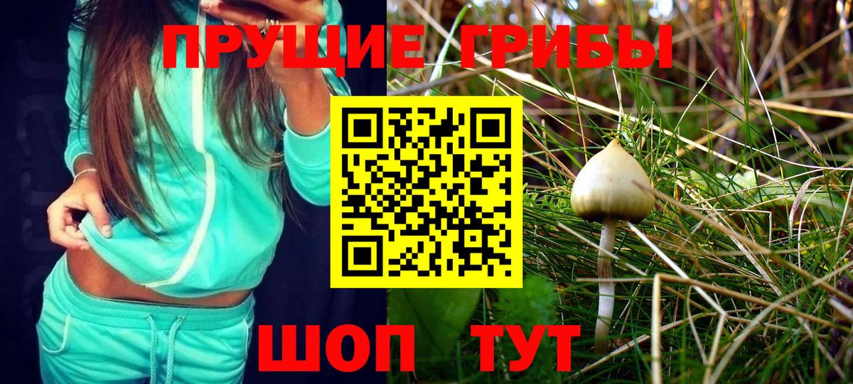 Галлюциногенные грибы Magic Shrooms  Псилоцибиновые грибы Cubensis  Вход с VPN  Хасавюрт 