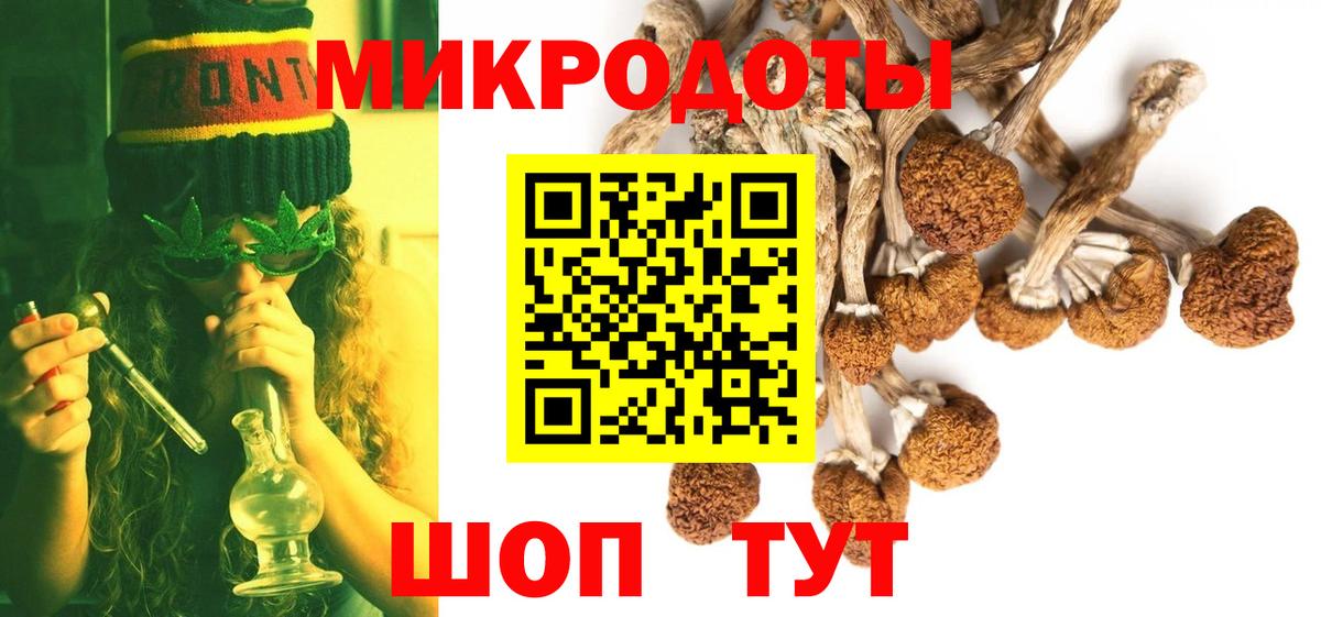 Псилоцибиновые грибы мицелий Хасавюрт