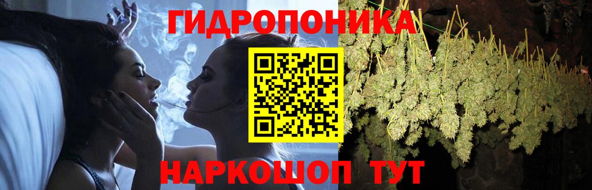Бошки марихуана планчик  Вход с VPN  Хасавюрт  Канабис AK-47  МАРИХУАНА марихуана  Бошки марихуана Ganja 